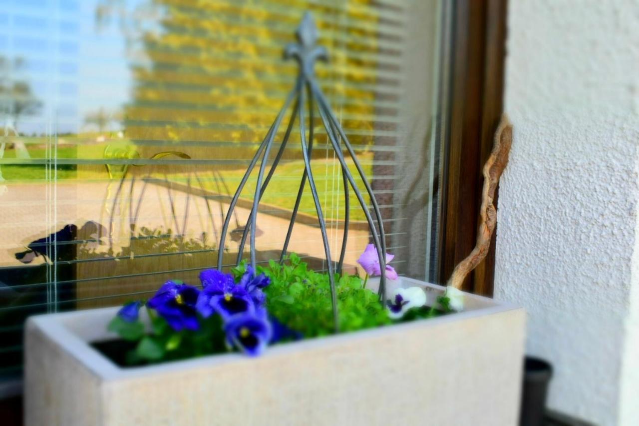 Ferienwohnung Juedel Mit Saunanutzung Beierfeld Zewnętrze zdjęcie