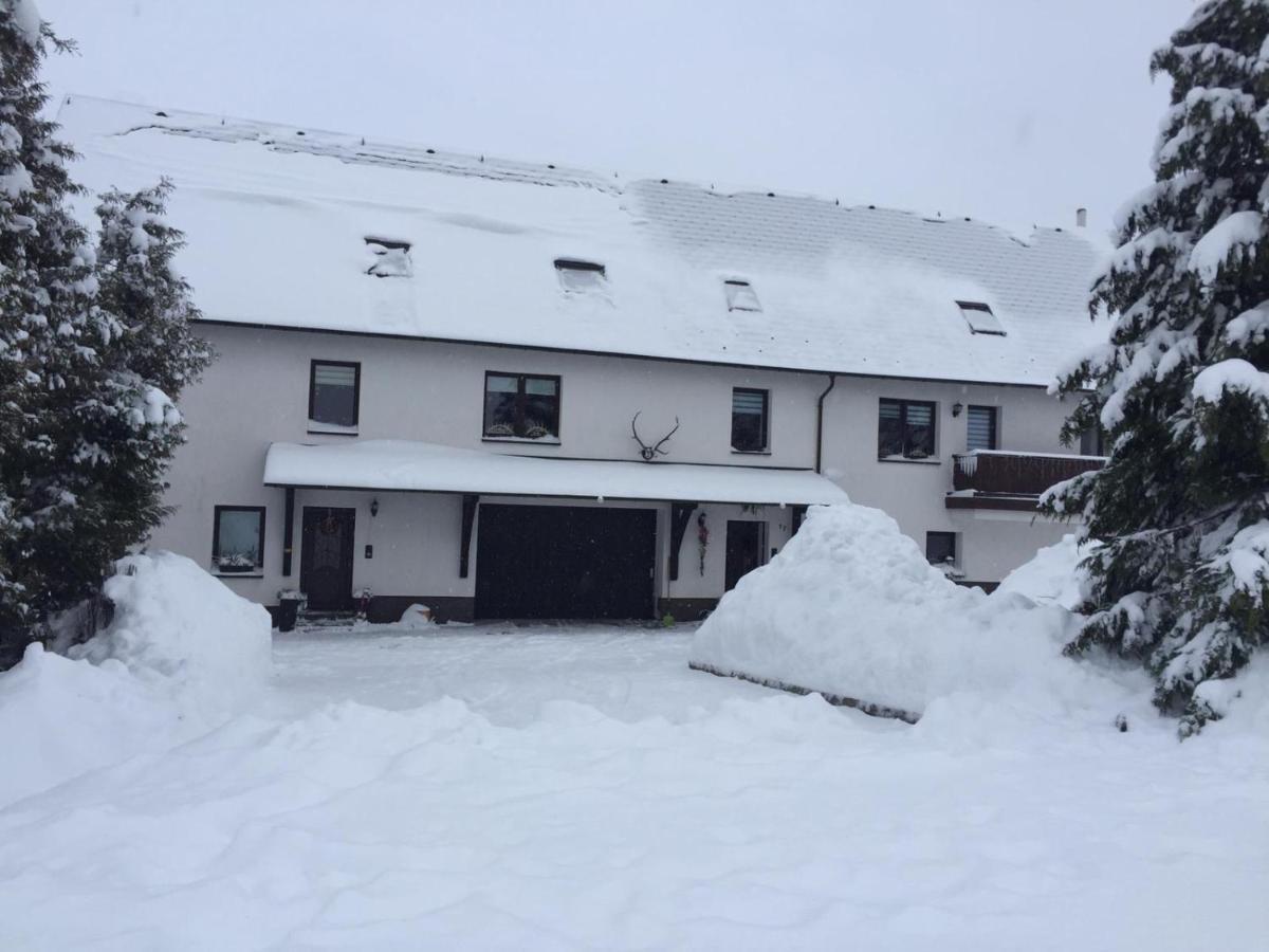 Ferienwohnung Juedel Mit Saunanutzung Beierfeld Zewnętrze zdjęcie